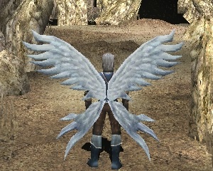 wings-of-soul